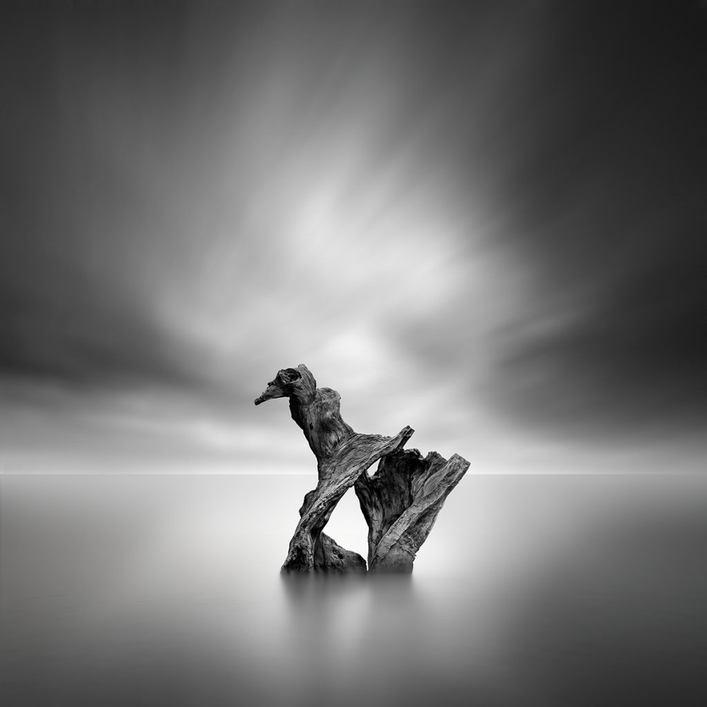 Secret Waters : la poésie aquatique en noir et blanc de George Digalakis Secret Waters de magnifiques photos en noir et blanc de l eau par George Digalakis 10 Secret-Waters-de-magnifiques-photos-en-noir-et-blanc-de-l-eau-par-George-Digalakis-10