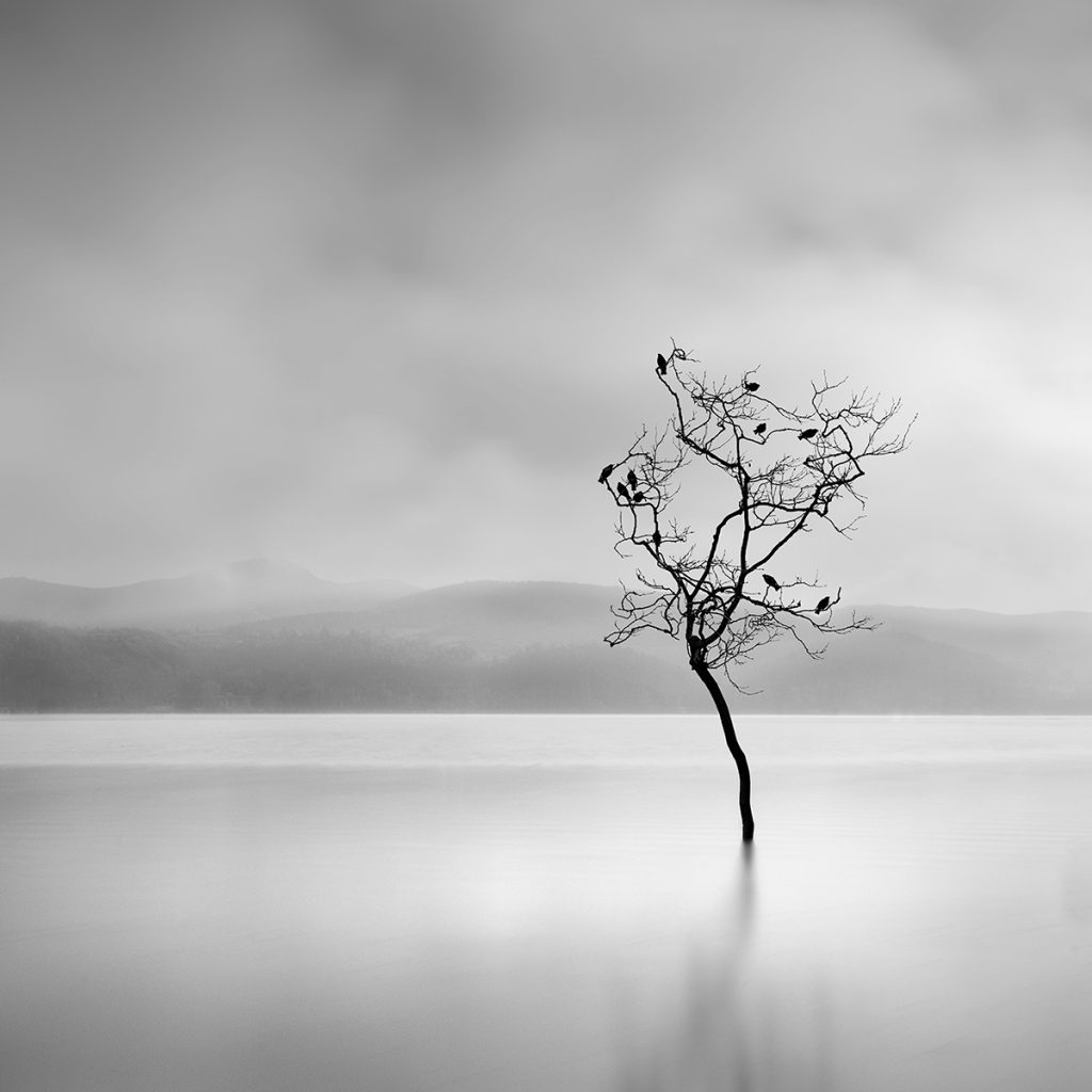 Secret Waters : la poésie aquatique en noir et blanc de George Digalakis Secret Waters de magnifiques photos en noir et blanc de l eau par George Digalakis 8 Secret-Waters-de-magnifiques-photos-en-noir-et-blanc-de-l-eau-par-George-Digalakis-8
