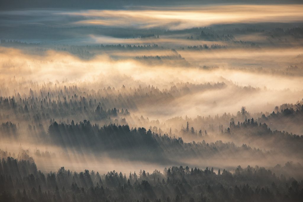 Des forêts dans la brume : la poésie visuelle de Tiina Törmänen des forets dans la brume par Tiina Tormanen 2 des-forets-dans-la-brume-par-Tiina-Tormanen-2