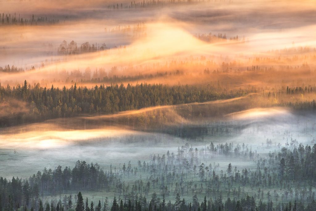 Des forêts dans la brume : la poésie visuelle de Tiina Törmänen des forets dans la brume par Tiina Tormanen 3 des-forets-dans-la-brume-par-Tiina-Tormanen-3