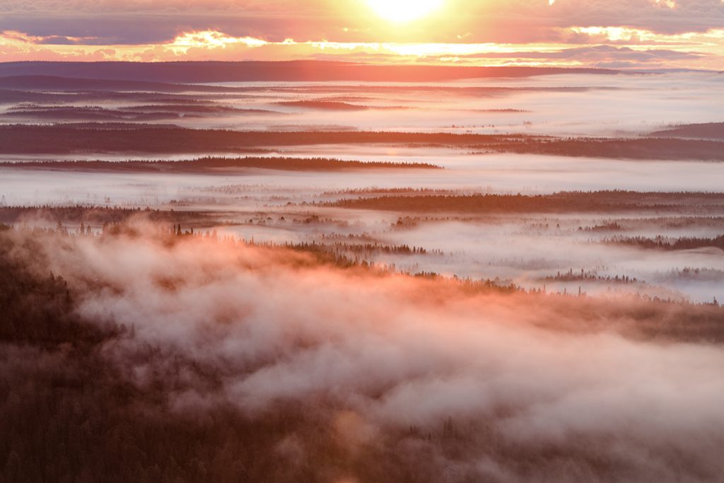 Des forêts dans la brume : la poésie visuelle de Tiina Törmänen des forets dans la brume par Tiina Tormanen 5 des-forets-dans-la-brume-par-Tiina-Tormanen-5