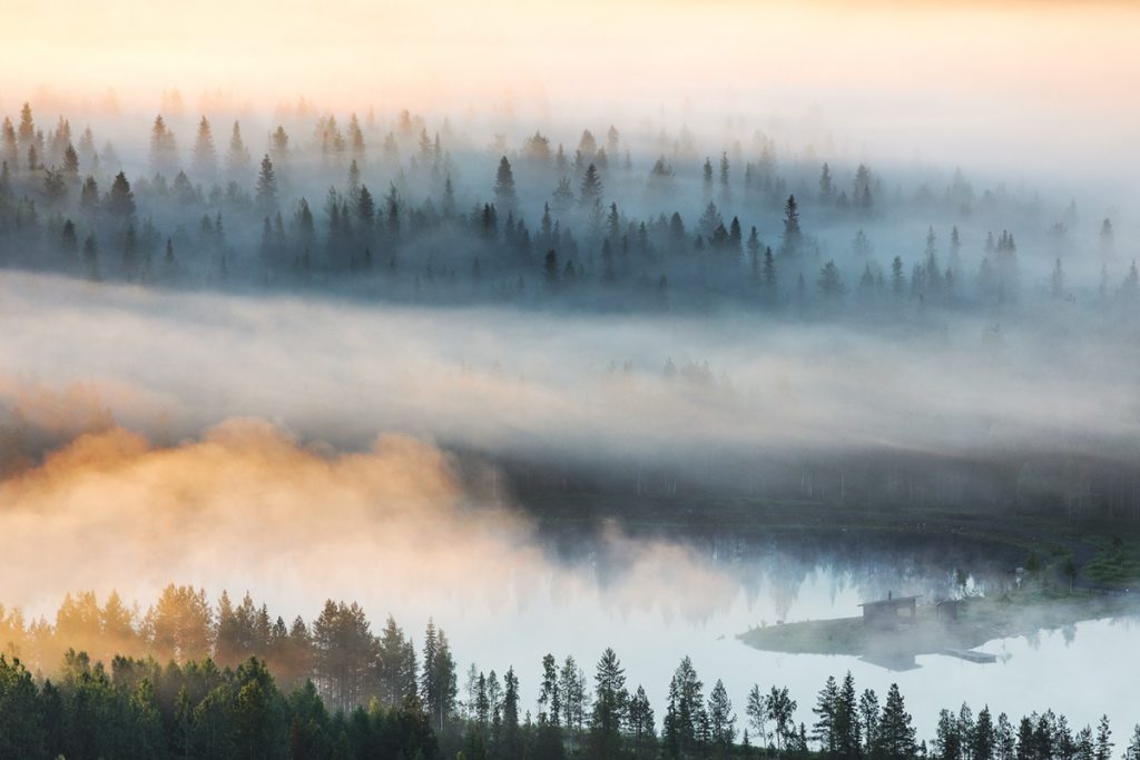 Des forêts dans la brume : la poésie visuelle de Tiina Törmänen des forets dans la brume par Tiina Tormanen 6 des-forets-dans-la-brume-par-Tiina-Tormanen-6