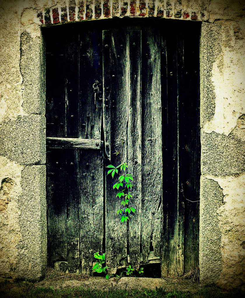 20 vieilles portes pleines de charme qui semblent raconter une histoire 20 exemples de la beaute des vieilles portes 19 20-exemples-de-la-beaute-des-vieilles-portes-19