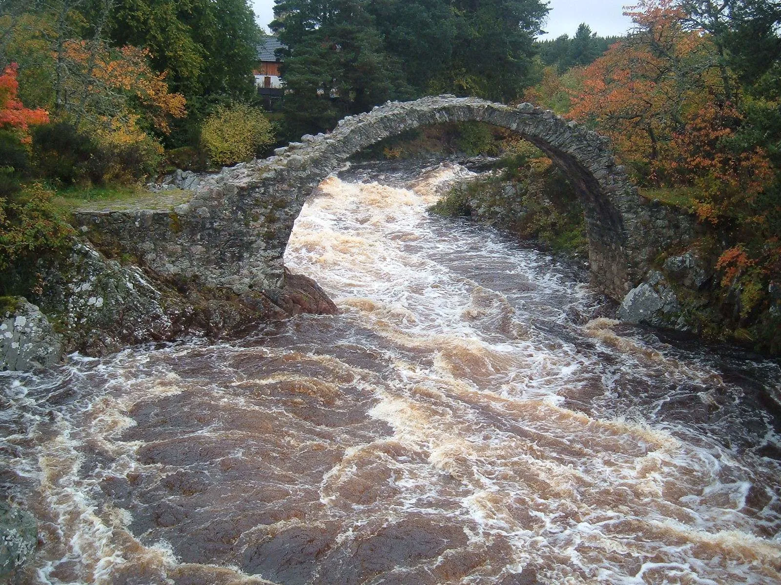 20 ponts mystiques qui semblent mener à un autre monde 20 ponts mystiques qui semblent mener dans un autre monde carrbridge ecosse 2 20-ponts-mystiques-qui-semblent-mener-dans-un-autre-monde-carrbridge-ecosse-2