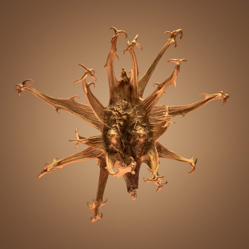 Hitchikers - les graines d'herbe qui collent par Dillon Marsh Hitchikers les graines d herbe qui collent par Dillon Marsh 4 Hitchikers-les-graines-d-herbe-qui-collent-par-Dillon-Marsh-4