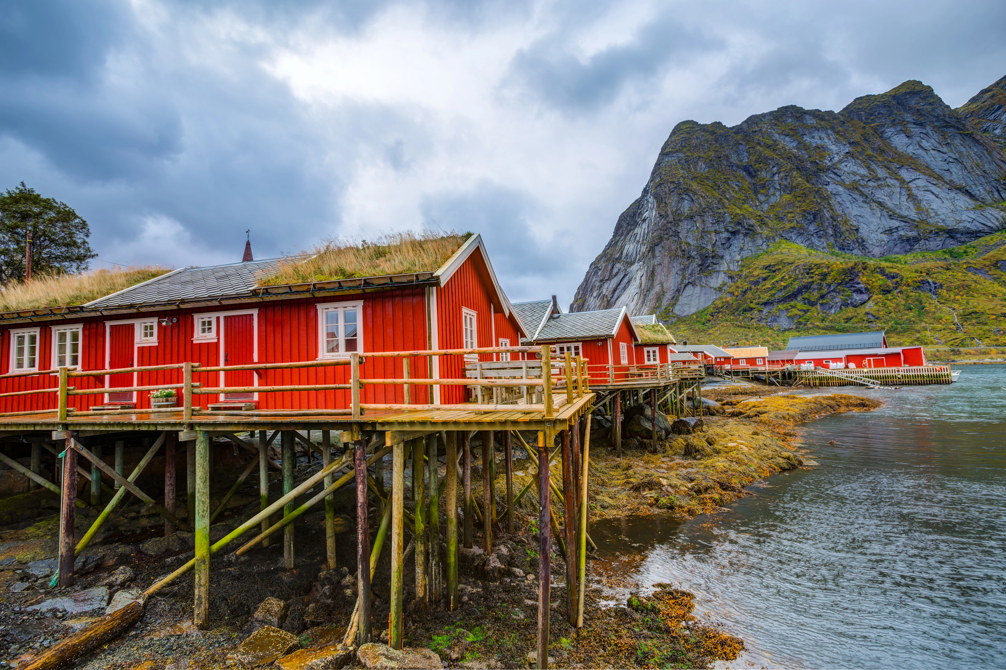 La douceur et la beauté des îles Lofoten, anomalies du cercle arctique La douceur et la beaute des iles Lofoten anomalies du cercle arctique 5 1 La-douceur-et-la-beaute-des-iles-Lofoten-anomalies-du-cercle-arctique-5