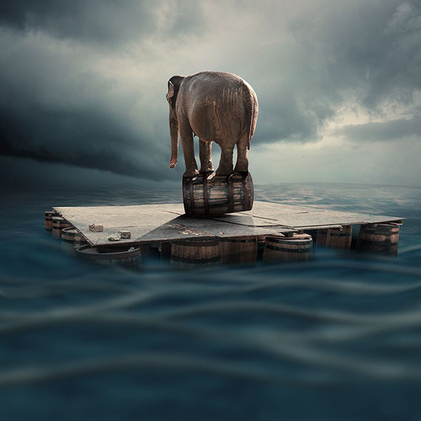 The elephant world: les éléphants surréalistes de Caras Ionut Les elephants surrealistes de Caras Ionut 10 Les-elephants-surrealistes-de-Caras-Ionut-10