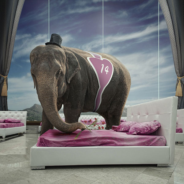 The elephant world: les éléphants surréalistes de Caras Ionut Les elephants surrealistes de Caras Ionut 11 Les-elephants-surrealistes-de-Caras-Ionut-11