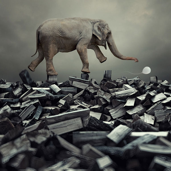 The elephant world: les éléphants surréalistes de Caras Ionut Les elephants surrealistes de Caras Ionut 17 Les-elephants-surrealistes-de-Caras-Ionut-17