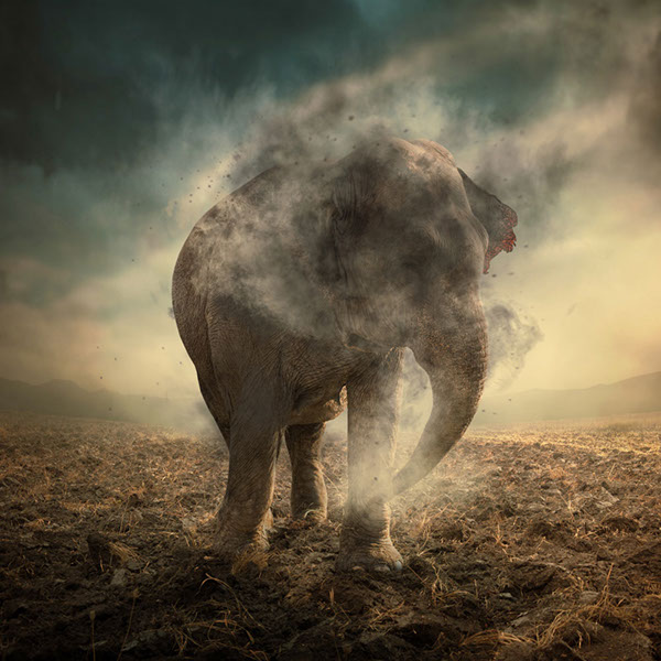 The elephant world: les éléphants surréalistes de Caras Ionut Les elephants surrealistes de Caras Ionut 18 Les-elephants-surrealistes-de-Caras-Ionut-18