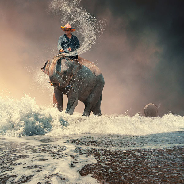 The elephant world: les éléphants surréalistes de Caras Ionut Les elephants surrealistes de Caras Ionut 2 Les-elephants-surrealistes-de-Caras-Ionut-2