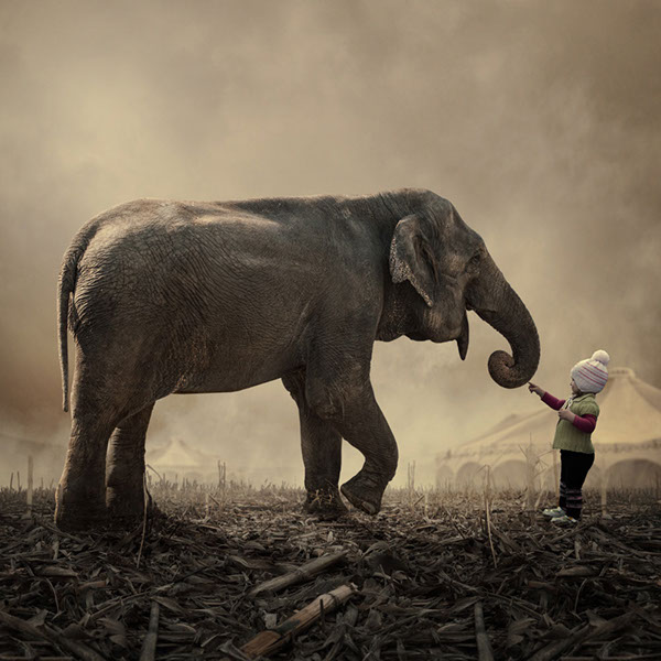 The elephant world: les éléphants surréalistes de Caras Ionut Les elephants surrealistes de Caras Ionut 21 Les-elephants-surrealistes-de-Caras-Ionut-21