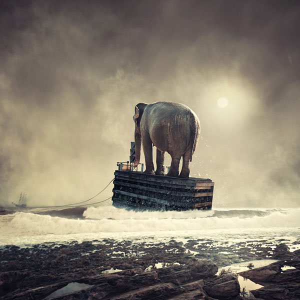 The elephant world: les éléphants surréalistes de Caras Ionut Les elephants surrealistes de Caras Ionut 24 Les-elephants-surrealistes-de-Caras-Ionut-24