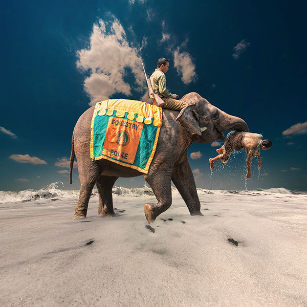 The elephant world: les éléphants surréalistes de Caras Ionut Les elephants surrealistes de Caras Ionut 3 Les-elephants-surrealistes-de-Caras-Ionut-3