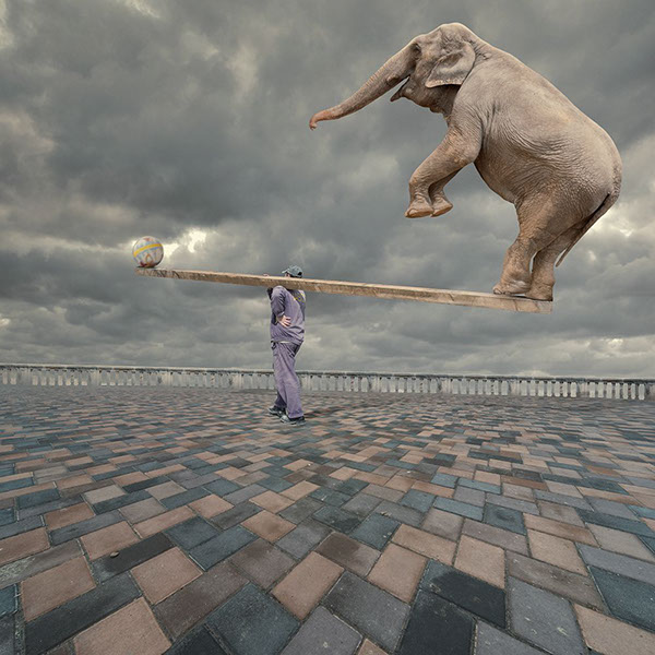 The elephant world: les éléphants surréalistes de Caras Ionut Les elephants surrealistes de Caras Ionut 4 Les-elephants-surrealistes-de-Caras-Ionut-4