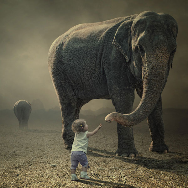 The elephant world: les éléphants surréalistes de Caras Ionut Les elephants surrealistes de Caras Ionut 5 Les-elephants-surrealistes-de-Caras-Ionut-5