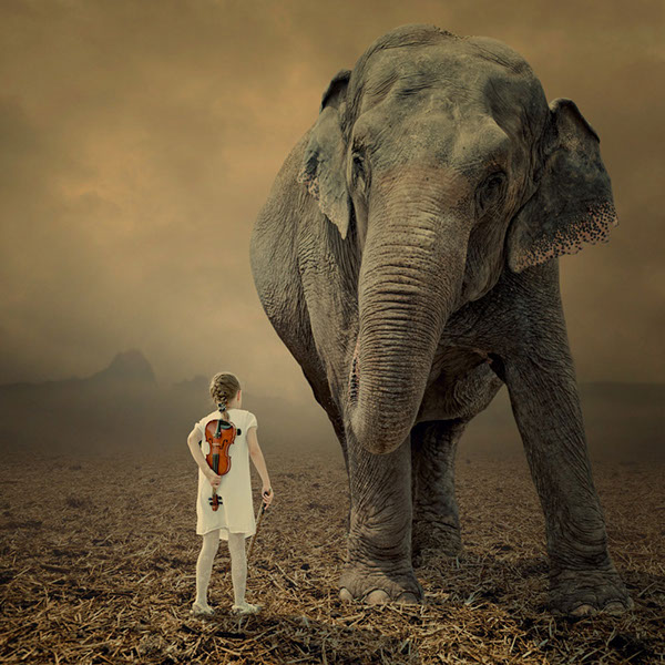 The elephant world: les éléphants surréalistes de Caras Ionut Les elephants surrealistes de Caras Ionut 6 Les-elephants-surrealistes-de-Caras-Ionut-6
