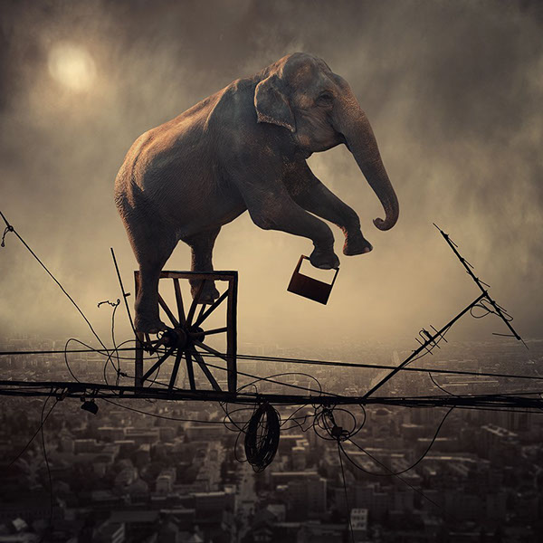 The elephant world: les éléphants surréalistes de Caras Ionut Les elephants surrealistes de Caras Ionut 7 Les-elephants-surrealistes-de-Caras-Ionut-7