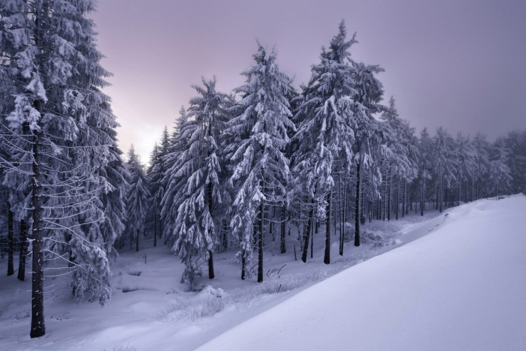 Winter’s Tale - paysages d'hiver par Kilian Schönberger Winter s Tale paysages d hiver par Kilian Schonberger 2 Winter-s-Tale-paysages-d-hiver-par-Kilian-Schonberger-2