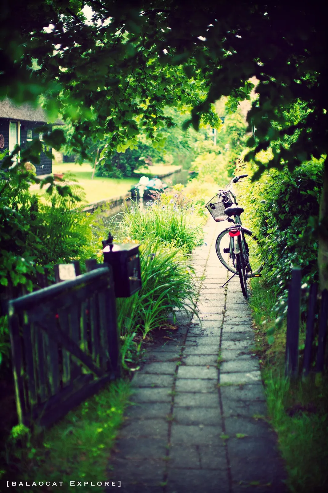 Giethoorn, délicieux village sans route de Hollande giethoorn village sans route venise du nord hollande 7 giethoorn-village-sans-route-venise-du-nord-hollande-7