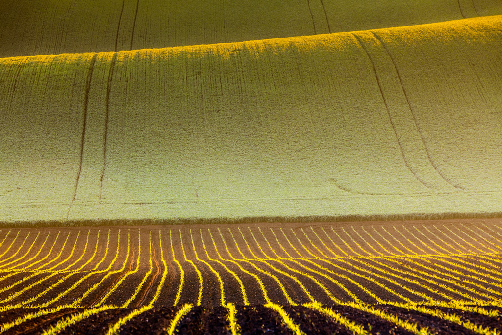 Les champs de Moravie par Mikolaj Gospodarek les champs de Moravie par Mikolaj Gospodarek 11 les-champs-de-Moravie-par-Mikolaj-Gospodarek-11