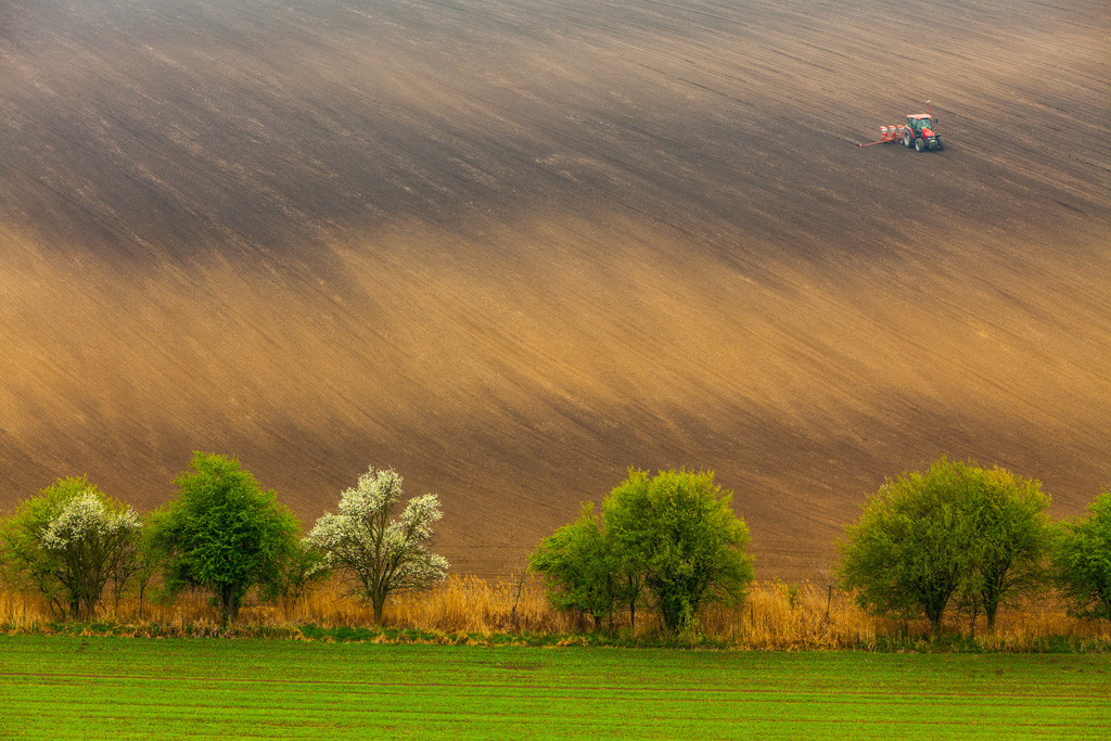 Les champs de Moravie par Mikolaj Gospodarek les champs de Moravie par Mikolaj Gospodarek 13 les-champs-de-Moravie-par-Mikolaj-Gospodarek-13