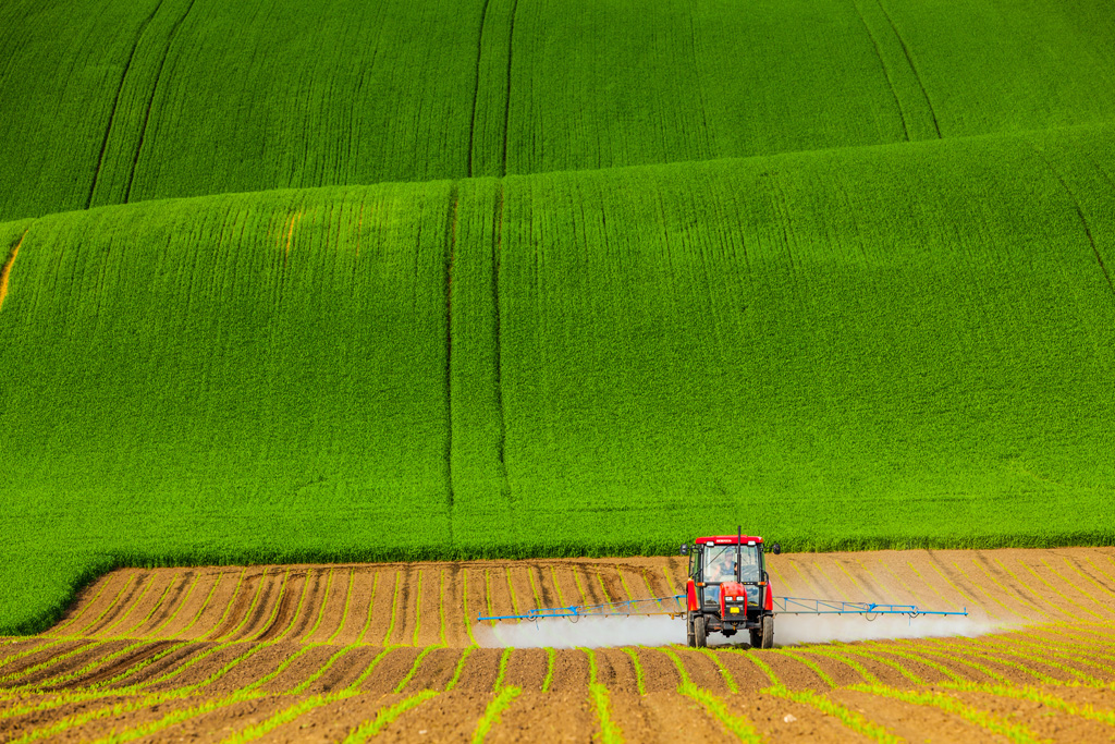 Les champs de Moravie par Mikolaj Gospodarek les champs de Moravie par Mikolaj Gospodarek 14 les-champs-de-Moravie-par-Mikolaj-Gospodarek-14