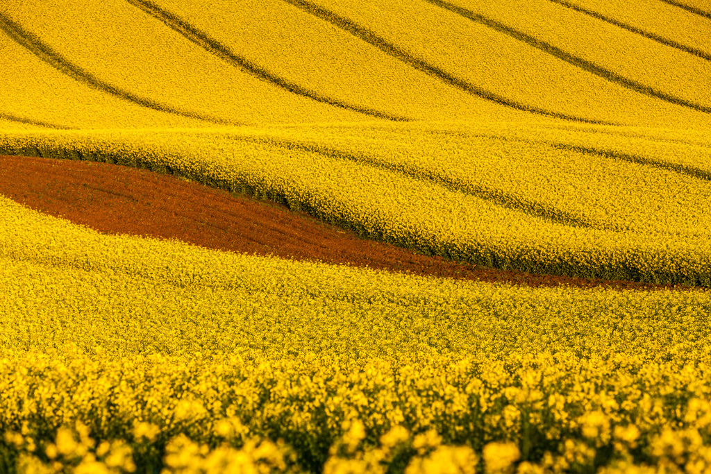 Les champs de Moravie par Mikolaj Gospodarek les champs de Moravie par Mikolaj Gospodarek 2 les-champs-de-Moravie-par-Mikolaj-Gospodarek-2