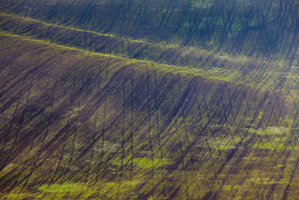 Les champs de Moravie par Mikolaj Gospodarek les champs de Moravie par Mikolaj Gospodarek 3 les-champs-de-Moravie-par-Mikolaj-Gospodarek-3