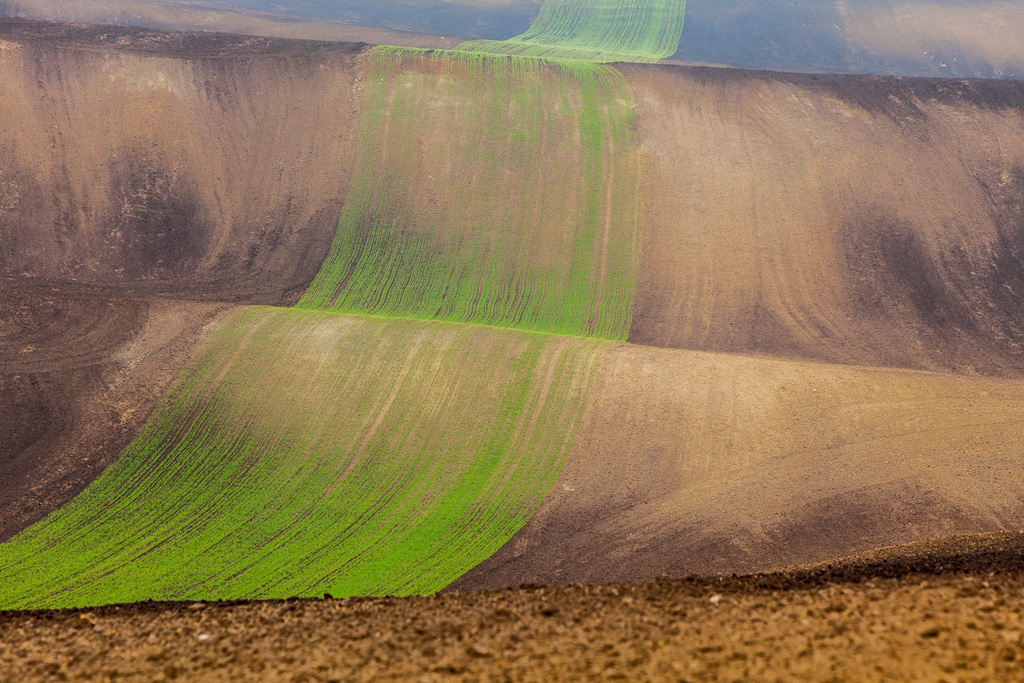 Les champs de Moravie par Mikolaj Gospodarek les champs de Moravie par Mikolaj Gospodarek 4 les-champs-de-Moravie-par-Mikolaj-Gospodarek-4
