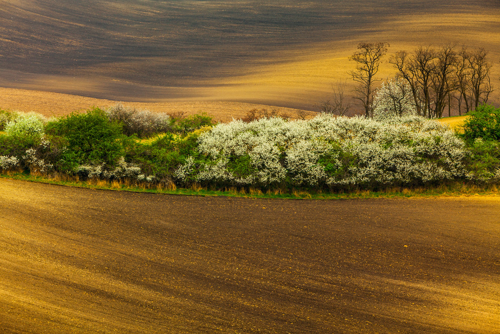 Les champs de Moravie par Mikolaj Gospodarek les champs de Moravie par Mikolaj Gospodarek 5 les-champs-de-Moravie-par-Mikolaj-Gospodarek-5