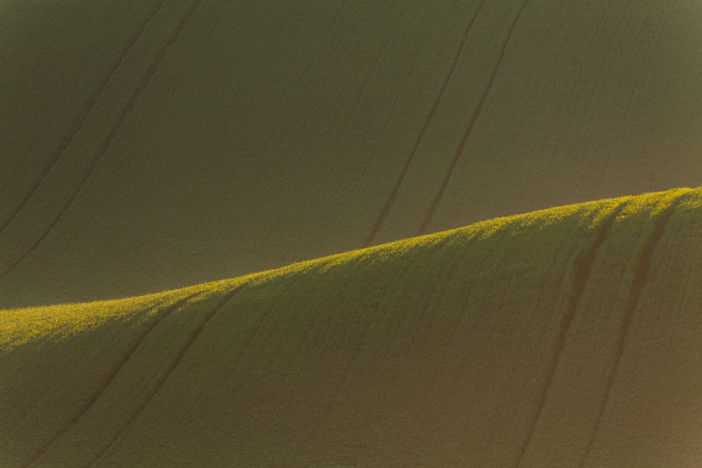 Les champs de Moravie par Mikolaj Gospodarek les champs de Moravie par Mikolaj Gospodarek 6 les-champs-de-Moravie-par-Mikolaj-Gospodarek-6