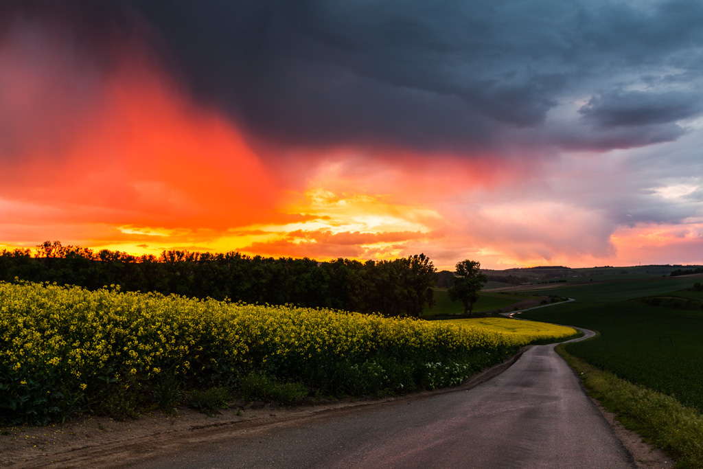 Les champs de Moravie par Mikolaj Gospodarek les champs de Moravie par Mikolaj Gospodarek 8 les-champs-de-Moravie-par-Mikolaj-Gospodarek-8