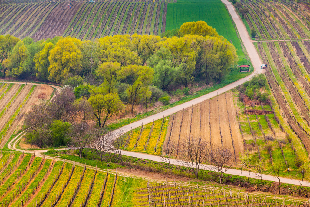 Les champs de Moravie par Mikolaj Gospodarek les champs de Moravie par Mikolaj Gospodarek 9 les-champs-de-Moravie-par-Mikolaj-Gospodarek-9