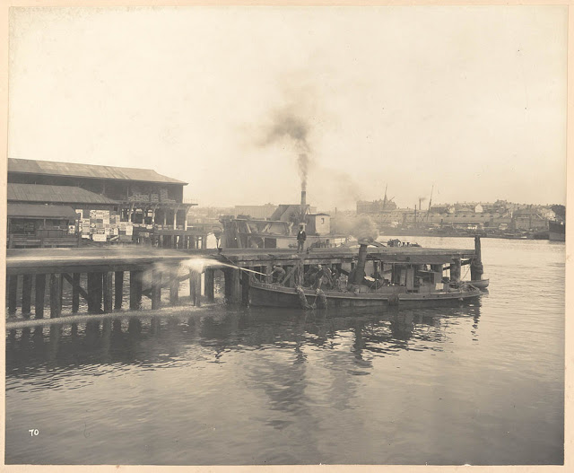 Des clichés vintage de la peste bubonique en Australie en 1900 Des cliches vintage de la peste bubonique en Australie en 1900 14 Des-cliches-vintage-de-la-peste-bubonique-en-Australie-en-1900-14
