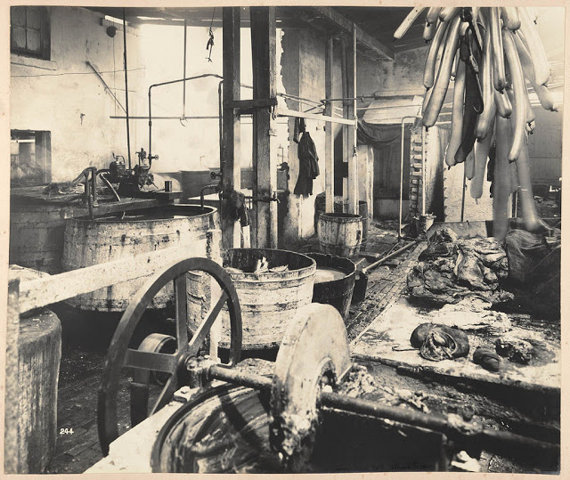 Des clichés vintage de la peste bubonique en Australie en 1900 Des cliches vintage de la peste bubonique en Australie en 1900 19 Des-cliches-vintage-de-la-peste-bubonique-en-Australie-en-1900-19