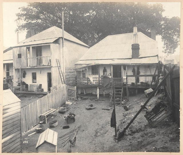 Des clichés vintage de la peste bubonique en Australie en 1900 Des cliches vintage de la peste bubonique en Australie en 1900 5 Des-cliches-vintage-de-la-peste-bubonique-en-Australie-en-1900-5
