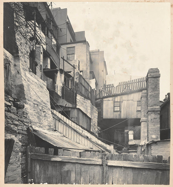 Des clichés vintage de la peste bubonique en Australie en 1900 Des cliches vintage de la peste bubonique en Australie en 1900 8 Des-cliches-vintage-de-la-peste-bubonique-en-Australie-en-1900-8