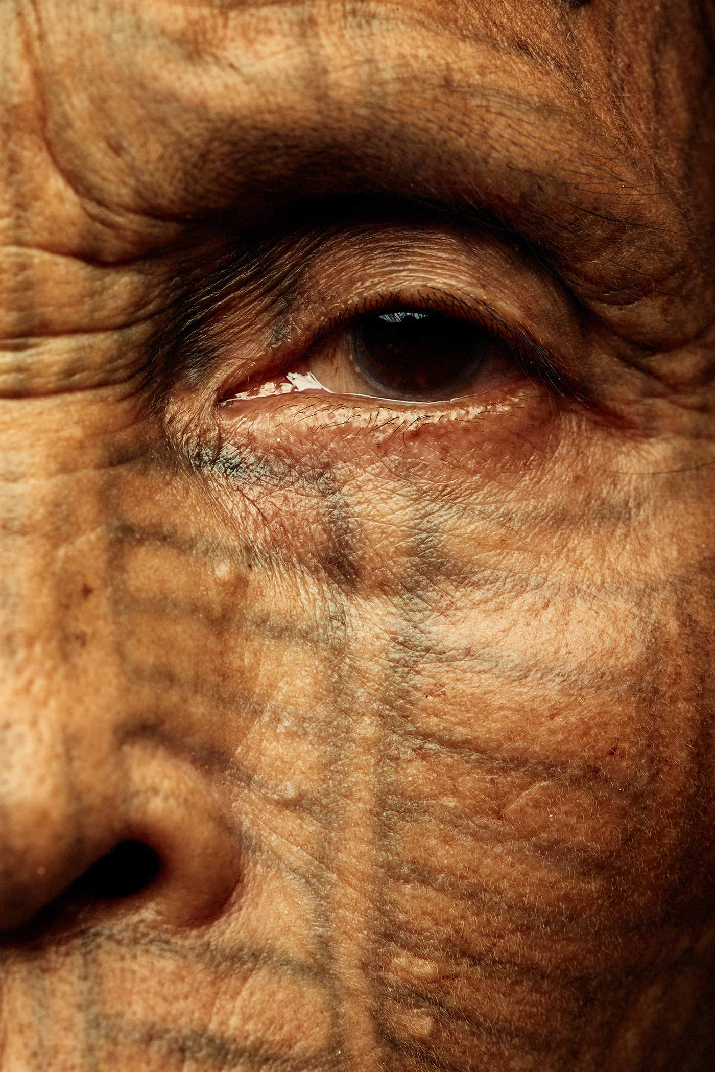 Birmanie : les dernières femmes de la tribu Chin au visage tatoué Quelques unes des dernieres femmes au visage tatoue de la tribu Chin de Birmanie par Adam Koziol 4 Quelques-unes-des-dernieres-femmes-au-visage-tatoue-de-la-tribu-Chin-de-Birmanie-par-Adam-Koziol-4