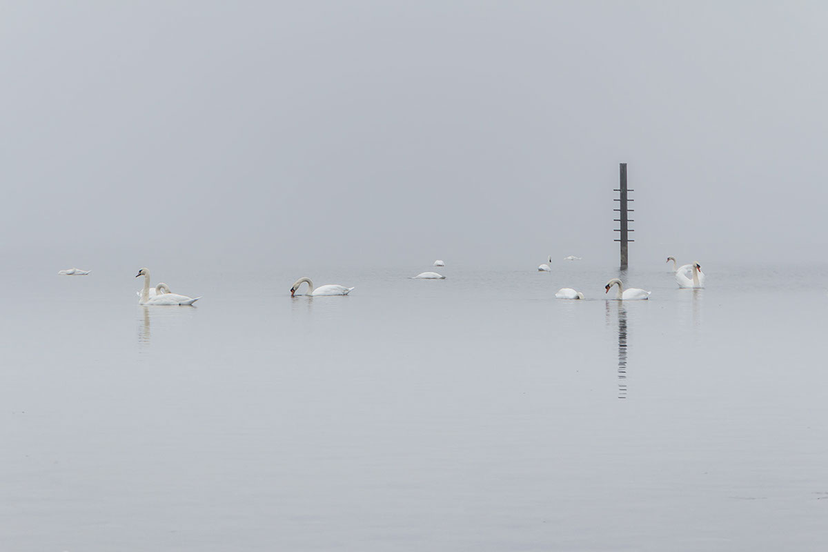 The Lake : le lac de Constance par Robert Götzfried The Lake le lac de Constance par Robert Gotzfried 13 The-Lake-le-lac-de-Constance-par-Robert-Gotzfried-13