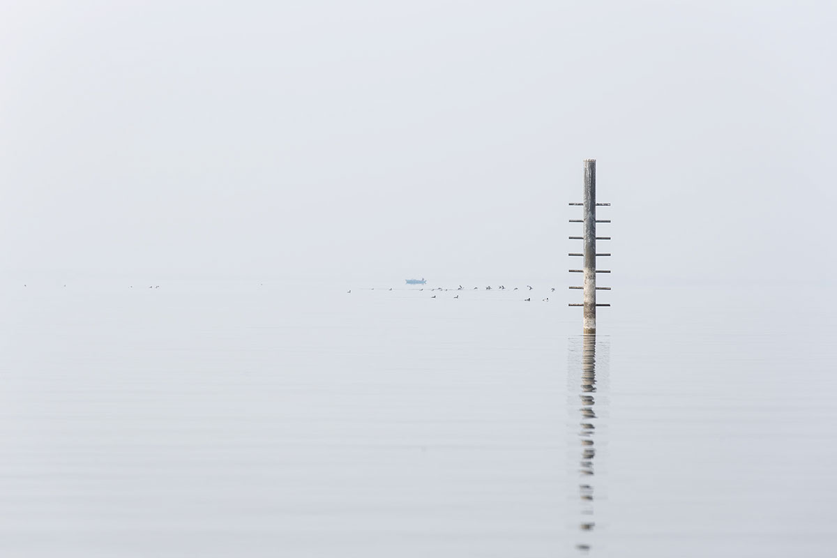 The Lake : le lac de Constance par Robert Götzfried The Lake le lac de Constance par Robert Gotzfried 15 The-Lake-le-lac-de-Constance-par-Robert-Gotzfried-15