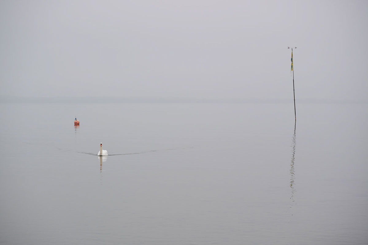 The Lake : le lac de Constance par Robert Götzfried The Lake le lac de Constance par Robert Gotzfried 6 The-Lake-le-lac-de-Constance-par-Robert-Gotzfried-6