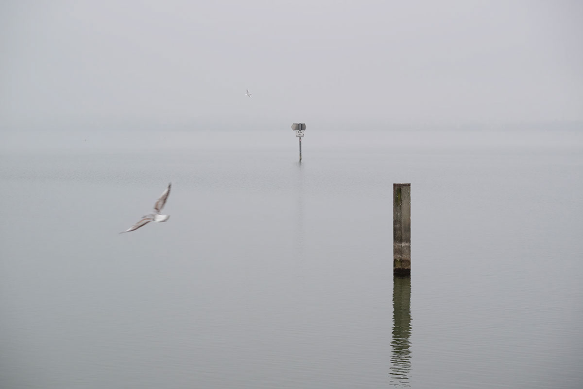 The Lake : le lac de Constance par Robert Götzfried The Lake le lac de Constance par Robert Gotzfried 7 The-Lake-le-lac-de-Constance-par-Robert-Gotzfried-7