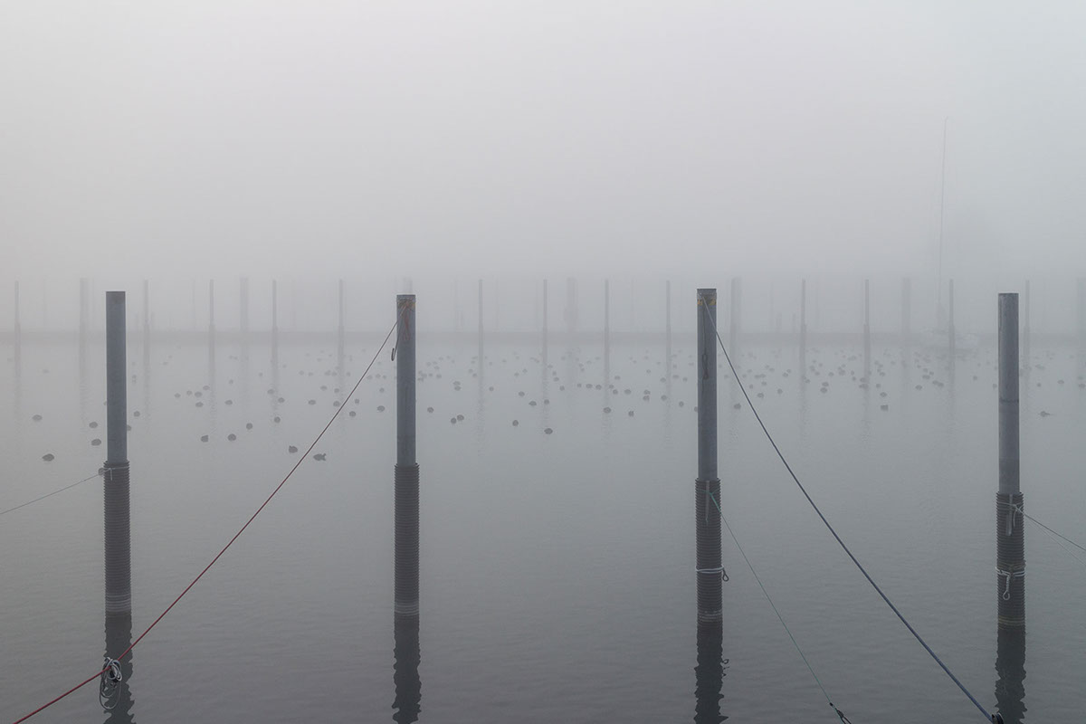 The Lake : le lac de Constance par Robert Götzfried The Lake le lac de Constance par Robert Gotzfried 9 The-Lake-le-lac-de-Constance-par-Robert-Gotzfried-9