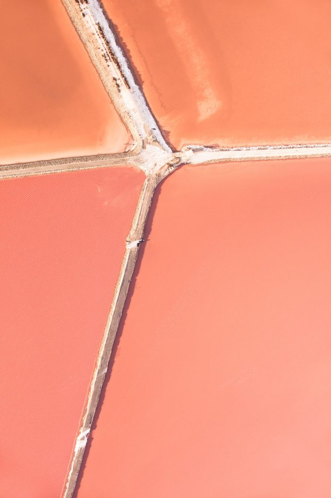 Des marais salants vus du ciel : mosaïques naturelles capturées par Tom Hegen The salt series les marais salants vus du ciel par Tom Hegen 7 The-salt-series-les-marais-salants-vus-du-ciel-par-Tom-Hegen-7