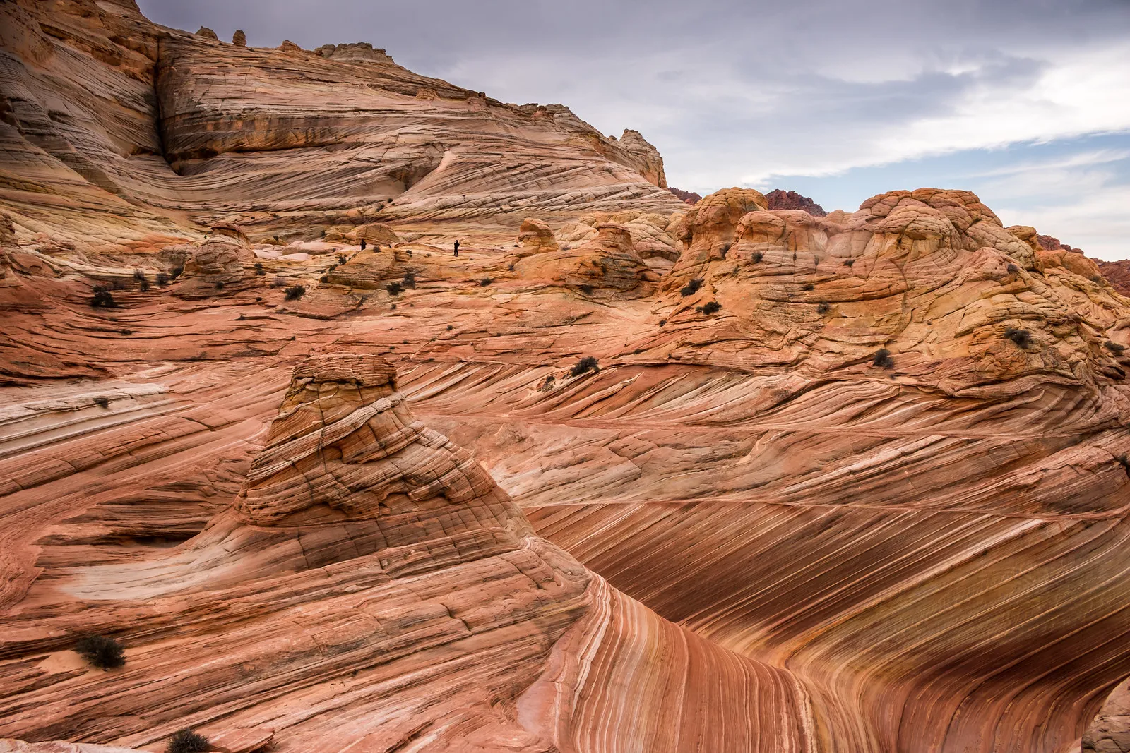 The Wave - Arizona : une vague de pierre figée dans le désert the wave vague arizona usa 5 the-wave-vague-arizona-usa-5