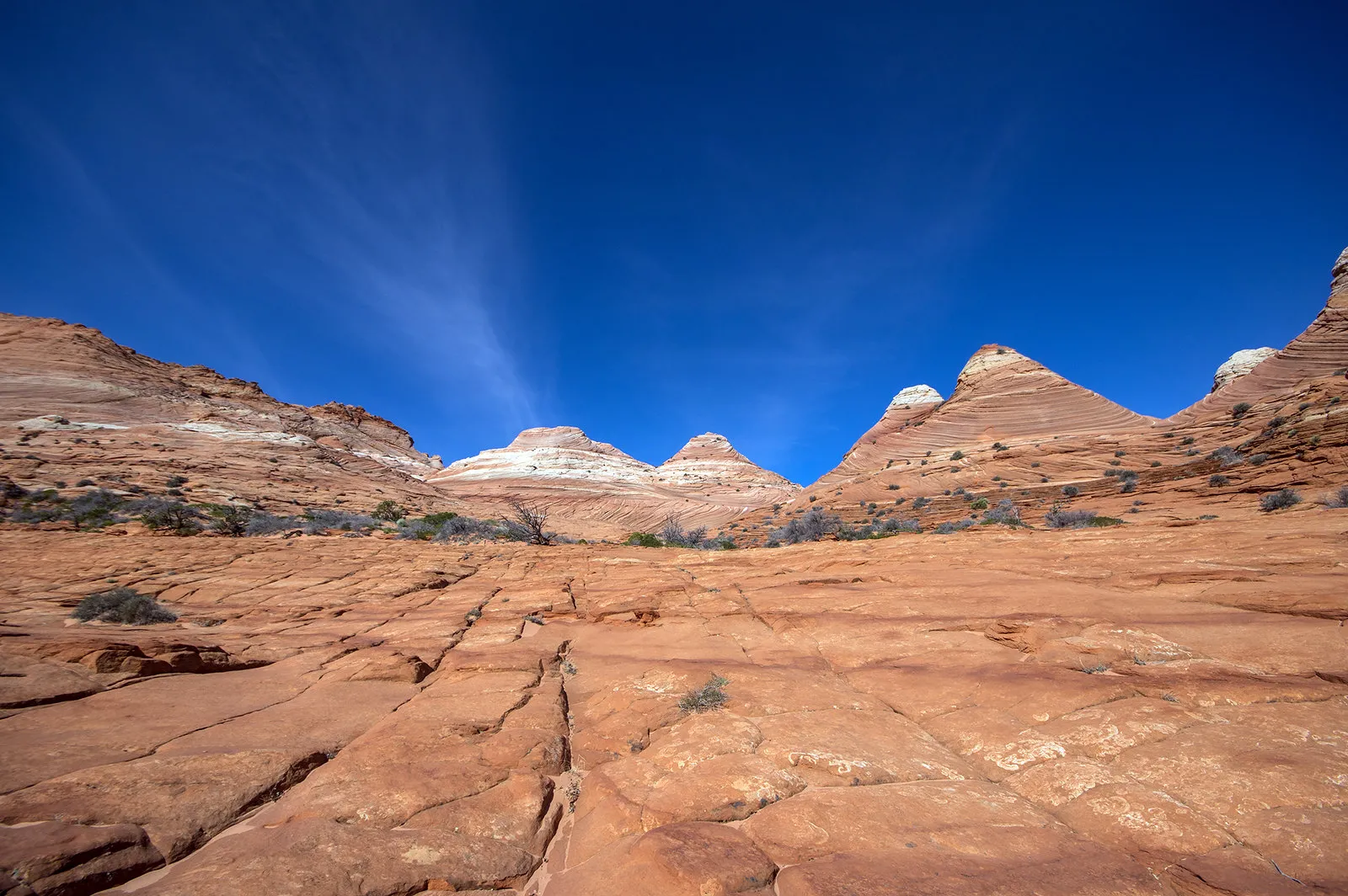 The Wave - Arizona : une vague de pierre figée dans le désert the wave vague arizona usa 6 the-wave-vague-arizona-usa-6