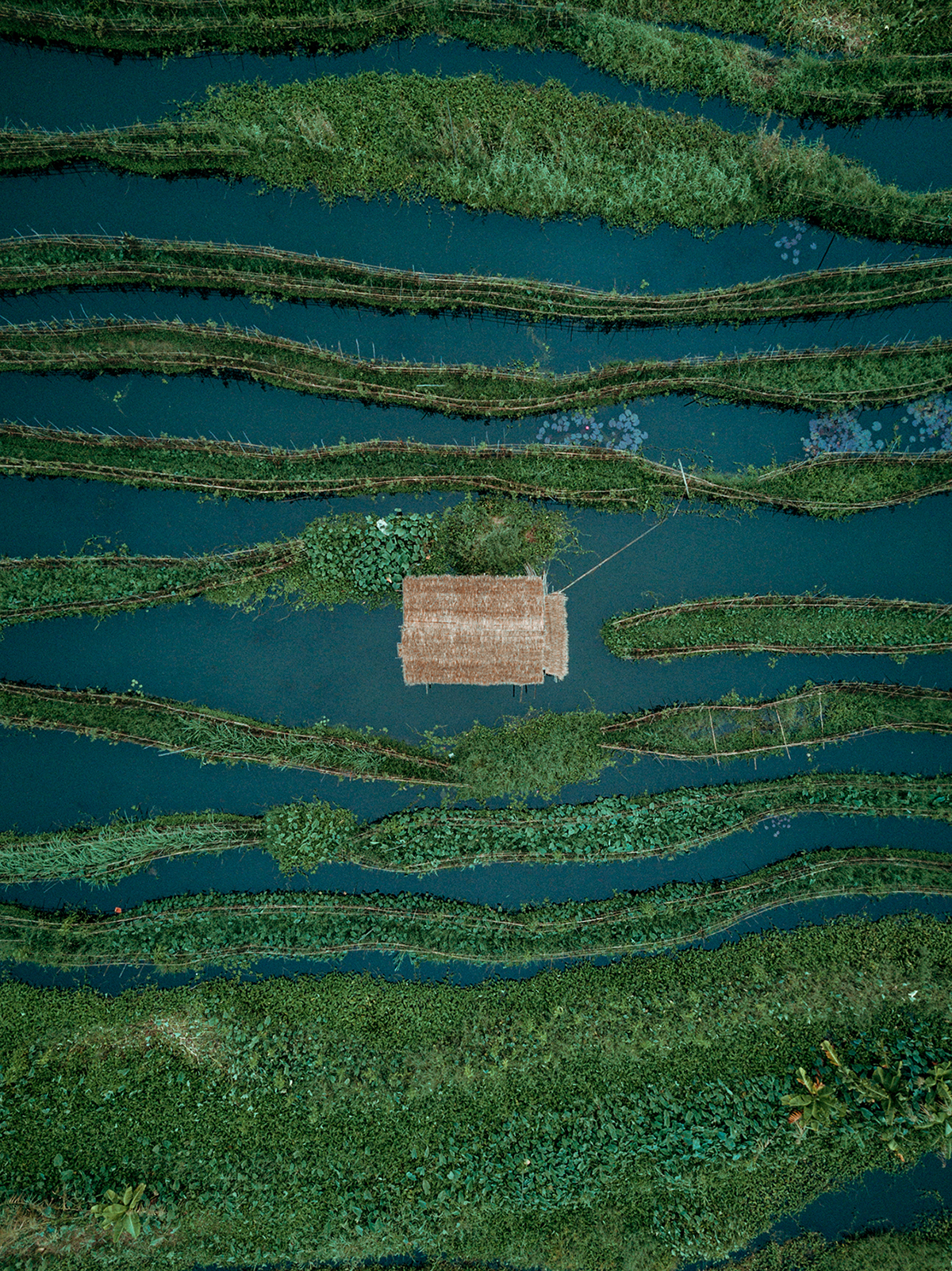 Le lac Inle de Birmanie et son trafic fluvial vus du ciel par Dimitar Karanikolov Le lac Inle de Birmanie et son trafic fluvial vus du ciel par Dimitar Karanikolov 5 Le-lac-Inle-de-Birmanie-et-son-trafic-fluvial-vus-du-ciel-par-Dimitar-Karanikolov-5