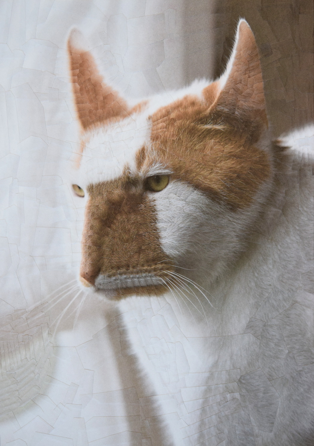 Les collages surréalistes de Lola Dupré : quand la photo passe au mixeur… en papier Les collages surrealistes de Lola Dupre 9 Les-collages-surrealistes-de-Lola-Dupre-9