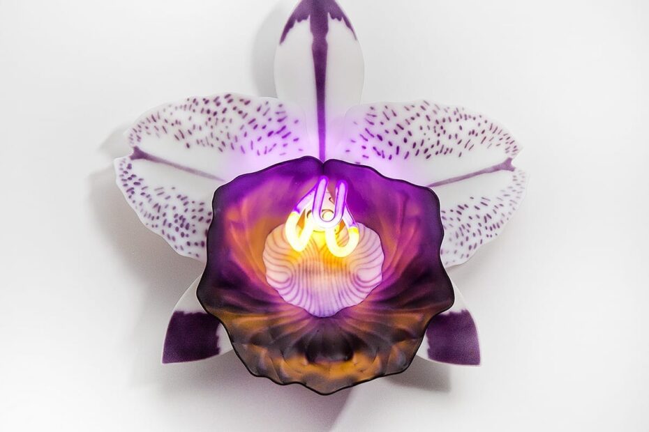 Orchidées de verre : l’art délicat (et un peu magique) de Laura Hart Les delicates orchidees de verre de Laura Hart 11 Les delicates orchidees de verre de Laura Hart 11